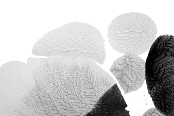 Beyaz kağıda akrilik renkler çizdim ve kağıdı karıştırılmış akrilik renklerin dokusunu oluşturan rorschach mürekkep lekesine benzer şekilde katladım..