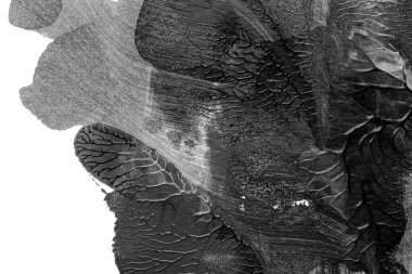 Beyaz kağıda akrilik renkler çizdim ve kağıdı karıştırılmış akrilik renklerin dokusunu oluşturan rorschach mürekkep lekesine benzer şekilde katladım..