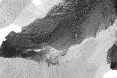 Beyaz kağıda akrilik renkler çizdim ve kağıdı karıştırılmış akrilik renklerin dokusunu oluşturan rorschach mürekkep lekesine benzer şekilde katladım..