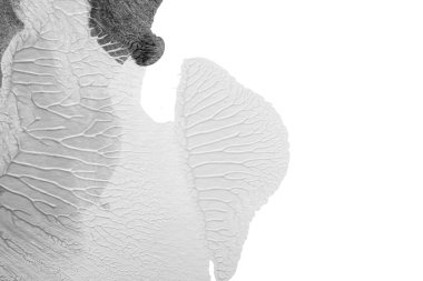 Beyaz kağıda akrilik renkler çizdim ve kağıdı karıştırılmış akrilik renklerin dokusunu oluşturan rorschach mürekkep lekesine benzer şekilde katladım..