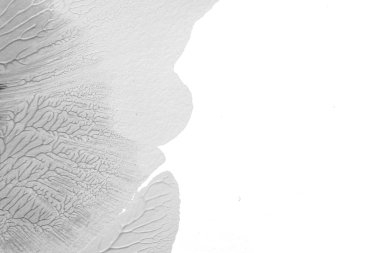 Beyaz kağıda akrilik renkler çizdim ve kağıdı karıştırılmış akrilik renklerin dokusunu oluşturan rorschach mürekkep lekesine benzer şekilde katladım..