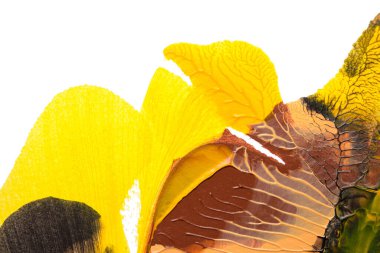 Beyaz kağıda akrilik renkler çizdim ve kağıdı karıştırılmış akrilik renklerin dokusunu oluşturan rorschach mürekkep lekesine benzer şekilde katladım..