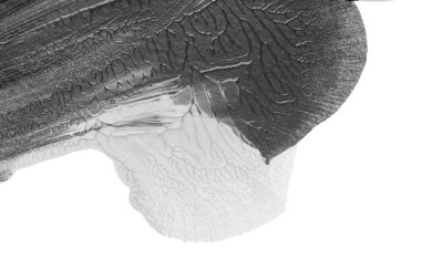 Beyaz kağıda akrilik renkler çizdim ve kağıdı karıştırılmış akrilik renklerin dokusunu oluşturan rorschach mürekkep lekesine benzer şekilde katladım..