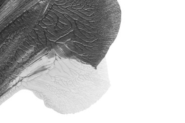 Beyaz kağıda akrilik renkler çizdim ve kağıdı karıştırılmış akrilik renklerin dokusunu oluşturan rorschach mürekkep lekesine benzer şekilde katladım..