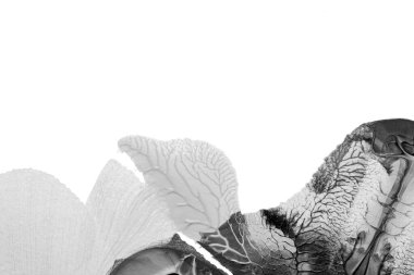 Beyaz kağıda akrilik renkler çizdim ve kağıdı karıştırılmış akrilik renklerin dokusunu oluşturan rorschach mürekkep lekesine benzer şekilde katladım..