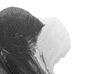 Beyaz kağıda akrilik renkler çizdim ve kağıdı karıştırılmış akrilik renklerin dokusunu oluşturan rorschach mürekkep lekesine benzer şekilde katladım..