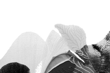 Beyaz kağıda akrilik renkler çizdim ve kağıdı karıştırılmış akrilik renklerin dokusunu oluşturan rorschach mürekkep lekesine benzer şekilde katladım..