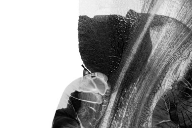 Beyaz kağıda akrilik renkler çizdim ve kağıdı karıştırılmış akrilik renklerin dokusunu oluşturan rorschach mürekkep lekesine benzer şekilde katladım..