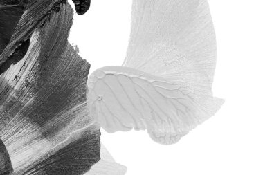 Beyaz kağıda akrilik renkler çizdim ve kağıdı karıştırılmış akrilik renklerin dokusunu oluşturan rorschach mürekkep lekesine benzer şekilde katladım..