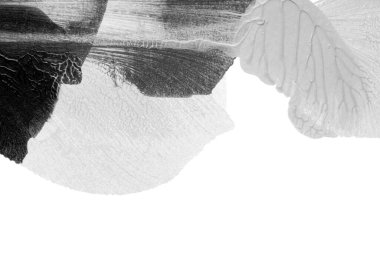 Beyaz kağıda akrilik renkler çizdim ve kağıdı karıştırılmış akrilik renklerin dokusunu oluşturan rorschach mürekkep lekesine benzer şekilde katladım..