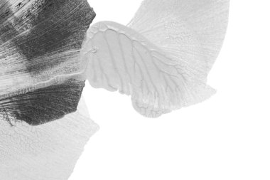 Beyaz kağıda akrilik renkler çizdim ve kağıdı karıştırılmış akrilik renklerin dokusunu oluşturan rorschach mürekkep lekesine benzer şekilde katladım..