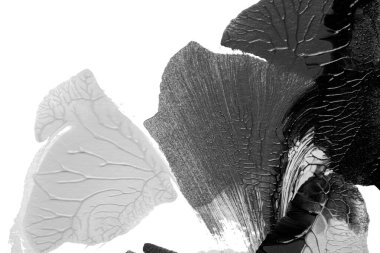 Beyaz kağıda akrilik renkler çizdim ve kağıdı karıştırılmış akrilik renklerin dokusunu oluşturan rorschach mürekkep lekesine benzer şekilde katladım..