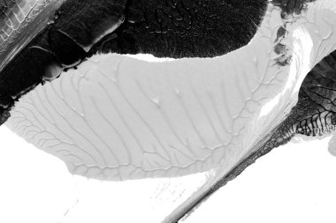 Beyaz kağıda akrilik renkler çizdim ve kağıdı karıştırılmış akrilik renklerin dokusunu oluşturan rorschach mürekkep lekesine benzer şekilde katladım..