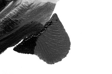 Beyaz kağıda akrilik renkler çizdim ve kağıdı karıştırılmış akrilik renklerin dokusunu oluşturan rorschach mürekkep lekesine benzer şekilde katladım..