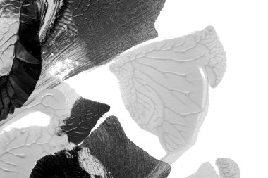 Beyaz kağıda akrilik renkler çizdim ve kağıdı karıştırılmış akrilik renklerin dokusunu oluşturan rorschach mürekkep lekesine benzer şekilde katladım..