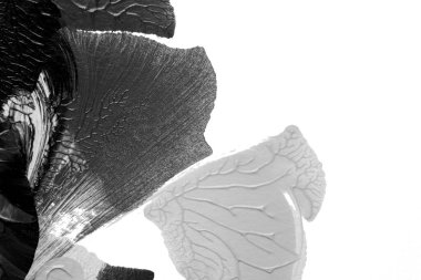 Beyaz kağıda akrilik renkler çizdim ve kağıdı karıştırılmış akrilik renklerin dokusunu oluşturan rorschach mürekkep lekesine benzer şekilde katladım..