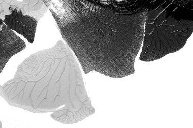 Beyaz kağıda akrilik renkler çizdim ve kağıdı karıştırılmış akrilik renklerin dokusunu oluşturan rorschach mürekkep lekesine benzer şekilde katladım..