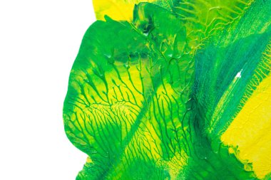 Beyaz kağıda akrilik renkler çizdim ve kağıdı karıştırılmış akrilik renklerin dokusunu oluşturan rorschach mürekkep lekesine benzer şekilde katladım..