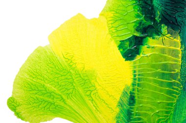 Beyaz kağıda akrilik renkler çizdim ve kağıdı karıştırılmış akrilik renklerin dokusunu oluşturan rorschach mürekkep lekesine benzer şekilde katladım..