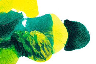 Beyaz kağıda akrilik renkler çizdim ve kağıdı karıştırılmış akrilik renklerin dokusunu oluşturan rorschach mürekkep lekesine benzer şekilde katladım..