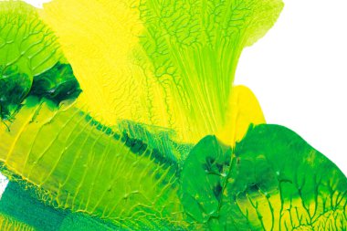 Beyaz kağıda akrilik renkler çizdim ve kağıdı karıştırılmış akrilik renklerin dokusunu oluşturan rorschach mürekkep lekesine benzer şekilde katladım..