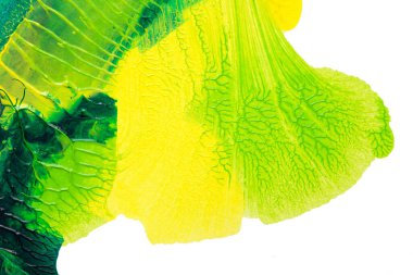 Beyaz kağıda akrilik renkler çizdim ve kağıdı karıştırılmış akrilik renklerin dokusunu oluşturan rorschach mürekkep lekesine benzer şekilde katladım..