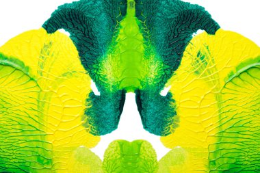 Beyaz kağıda akrilik renkler çizdim ve kağıdı karıştırılmış akrilik renklerin dokusunu oluşturan rorschach mürekkep lekesine benzer şekilde katladım..