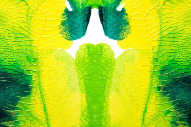 Beyaz kağıda akrilik renkler çizdim ve kağıdı karıştırılmış akrilik renklerin dokusunu oluşturan rorschach mürekkep lekesine benzer şekilde katladım..