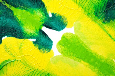 Beyaz kağıda akrilik renkler çizdim ve kağıdı karıştırılmış akrilik renklerin dokusunu oluşturan rorschach mürekkep lekesine benzer şekilde katladım..