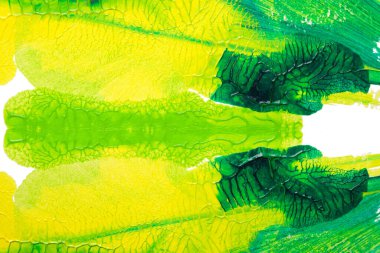 Beyaz kağıda akrilik renkler çizdim ve kağıdı karıştırılmış akrilik renklerin dokusunu oluşturan rorschach mürekkep lekesine benzer şekilde katladım..