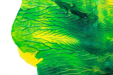 Beyaz kağıda akrilik renkler çizdim ve kağıdı karıştırılmış akrilik renklerin dokusunu oluşturan rorschach mürekkep lekesine benzer şekilde katladım..