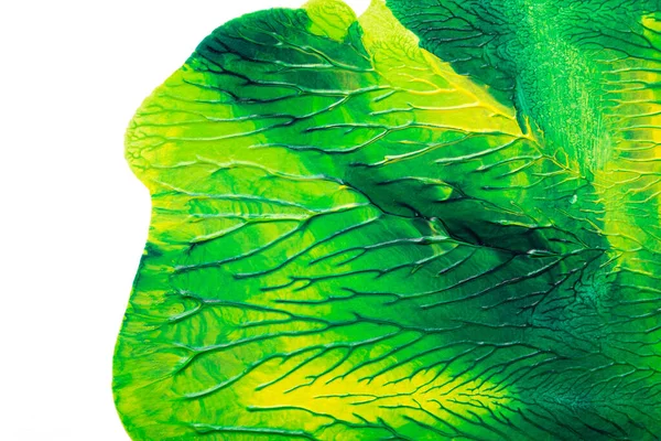 Beyaz kağıda akrilik renkler çizdim ve kağıdı karıştırılmış akrilik renklerin dokusunu oluşturan rorschach mürekkep lekesine benzer şekilde katladım..