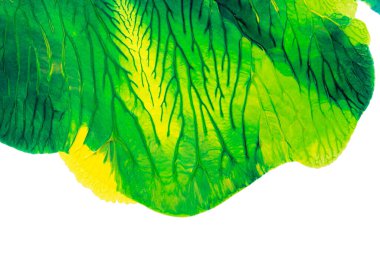 Beyaz kağıda akrilik renkler çizdim ve kağıdı karıştırılmış akrilik renklerin dokusunu oluşturan rorschach mürekkep lekesine benzer şekilde katladım..