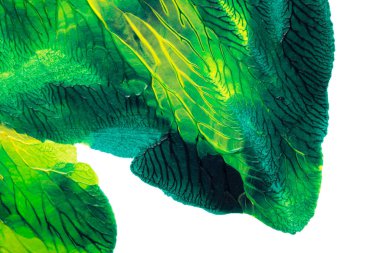 Beyaz kağıda akrilik renkler çizdim ve kağıdı karıştırılmış akrilik renklerin dokusunu oluşturan rorschach mürekkep lekesine benzer şekilde katladım..