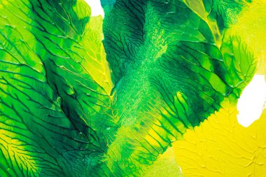 Beyaz kağıda akrilik renkler çizdim ve kağıdı karıştırılmış akrilik renklerin dokusunu oluşturan rorschach mürekkep lekesine benzer şekilde katladım..