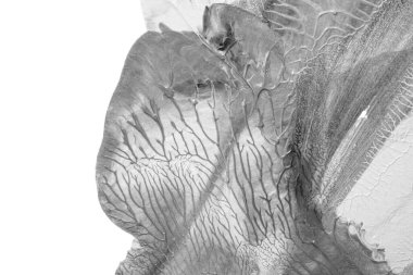 Beyaz kağıda akrilik renkler çizdim ve kağıdı karıştırılmış akrilik renklerin dokusunu oluşturan rorschach mürekkep lekesine benzer şekilde katladım..