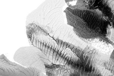 Beyaz kağıda akrilik renkler çizdim ve kağıdı karıştırılmış akrilik renklerin dokusunu oluşturan rorschach mürekkep lekesine benzer şekilde katladım..