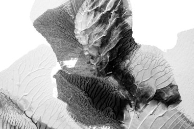 Beyaz kağıda akrilik renkler çizdim ve kağıdı karıştırılmış akrilik renklerin dokusunu oluşturan rorschach mürekkep lekesine benzer şekilde katladım..