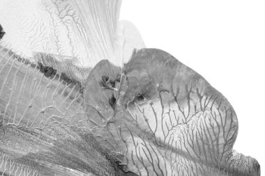 Beyaz kağıda akrilik renkler çizdim ve kağıdı karıştırılmış akrilik renklerin dokusunu oluşturan rorschach mürekkep lekesine benzer şekilde katladım..