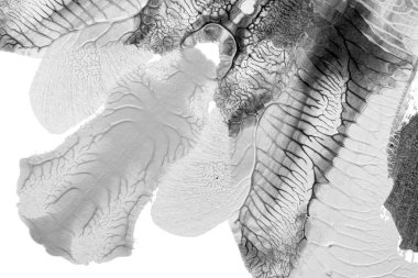 Beyaz kağıda akrilik renkler çizdim ve kağıdı karıştırılmış akrilik renklerin dokusunu oluşturan rorschach mürekkep lekesine benzer şekilde katladım..