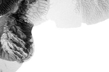 Beyaz kağıda akrilik renkler çizdim ve kağıdı karıştırılmış akrilik renklerin dokusunu oluşturan rorschach mürekkep lekesine benzer şekilde katladım..