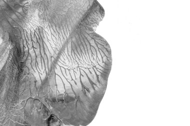 Beyaz kağıda akrilik renkler çizdim ve kağıdı karıştırılmış akrilik renklerin dokusunu oluşturan rorschach mürekkep lekesine benzer şekilde katladım..