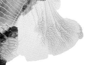 Beyaz kağıda akrilik renkler çizdim ve kağıdı karıştırılmış akrilik renklerin dokusunu oluşturan rorschach mürekkep lekesine benzer şekilde katladım..