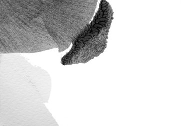 Beyaz kağıda akrilik renkler çizdim ve kağıdı karıştırılmış akrilik renklerin dokusunu oluşturan rorschach mürekkep lekesine benzer şekilde katladım..