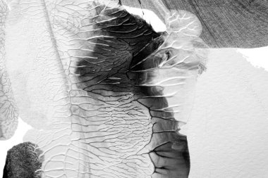 Beyaz kağıda akrilik renkler çizdim ve kağıdı karıştırılmış akrilik renklerin dokusunu oluşturan rorschach mürekkep lekesine benzer şekilde katladım..