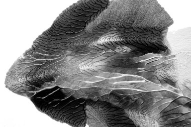 Beyaz kağıda akrilik renkler çizdim ve kağıdı karıştırılmış akrilik renklerin dokusunu oluşturan rorschach mürekkep lekesine benzer şekilde katladım..