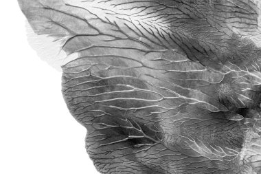 Beyaz kağıda akrilik renkler çizdim ve kağıdı karıştırılmış akrilik renklerin dokusunu oluşturan rorschach mürekkep lekesine benzer şekilde katladım..