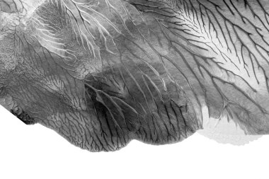 Beyaz kağıda akrilik renkler çizdim ve kağıdı karıştırılmış akrilik renklerin dokusunu oluşturan rorschach mürekkep lekesine benzer şekilde katladım..