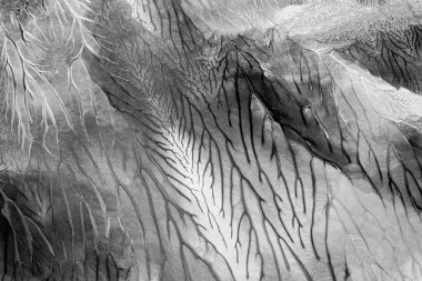 Beyaz kağıda akrilik renkler çizdim ve kağıdı karıştırılmış akrilik renklerin dokusunu oluşturan rorschach mürekkep lekesine benzer şekilde katladım..