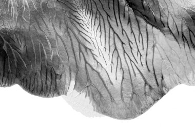 Beyaz kağıda akrilik renkler çizdim ve kağıdı karıştırılmış akrilik renklerin dokusunu oluşturan rorschach mürekkep lekesine benzer şekilde katladım..